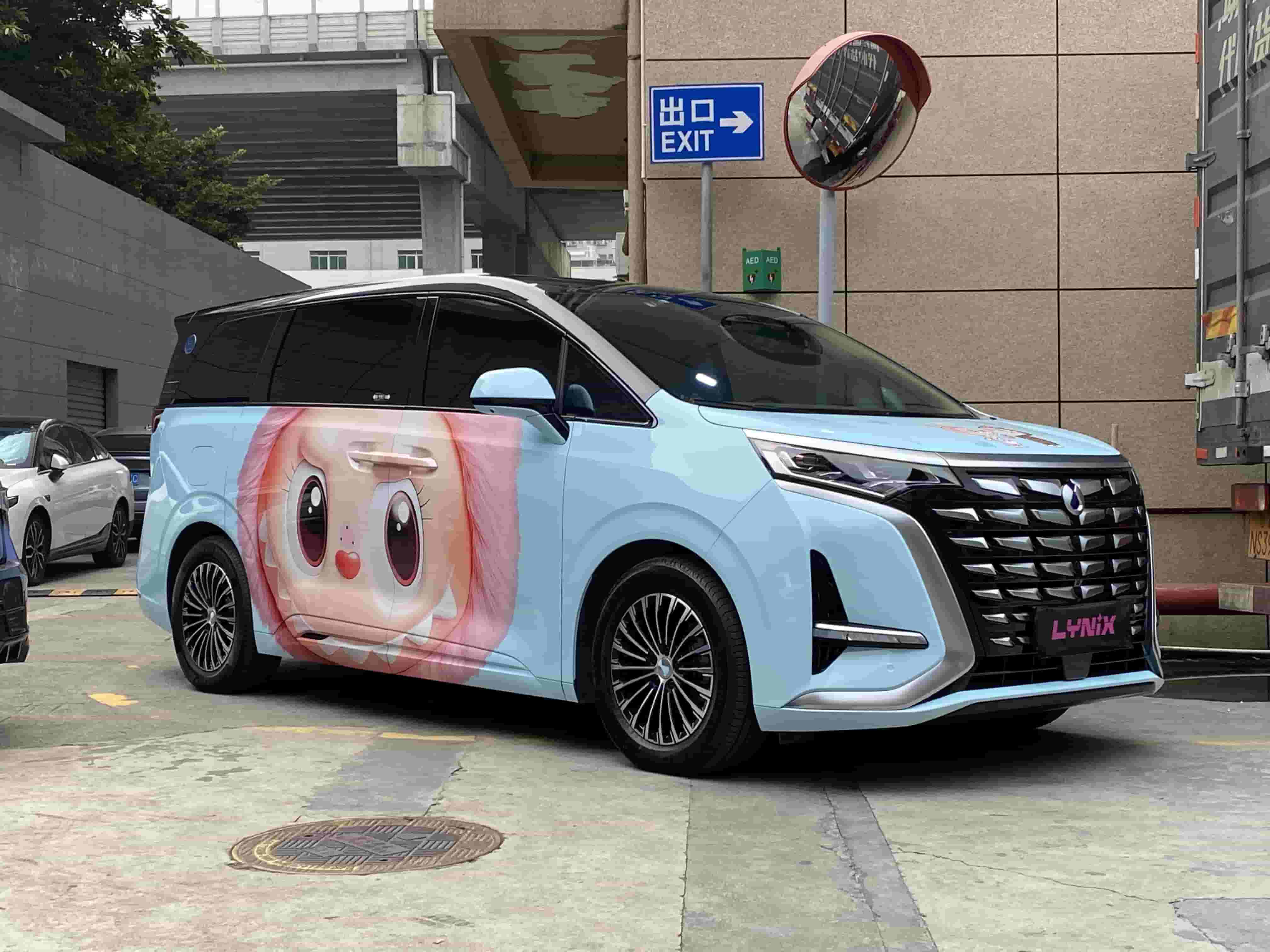 腾势D9|LABUBU|定制彩绘膜