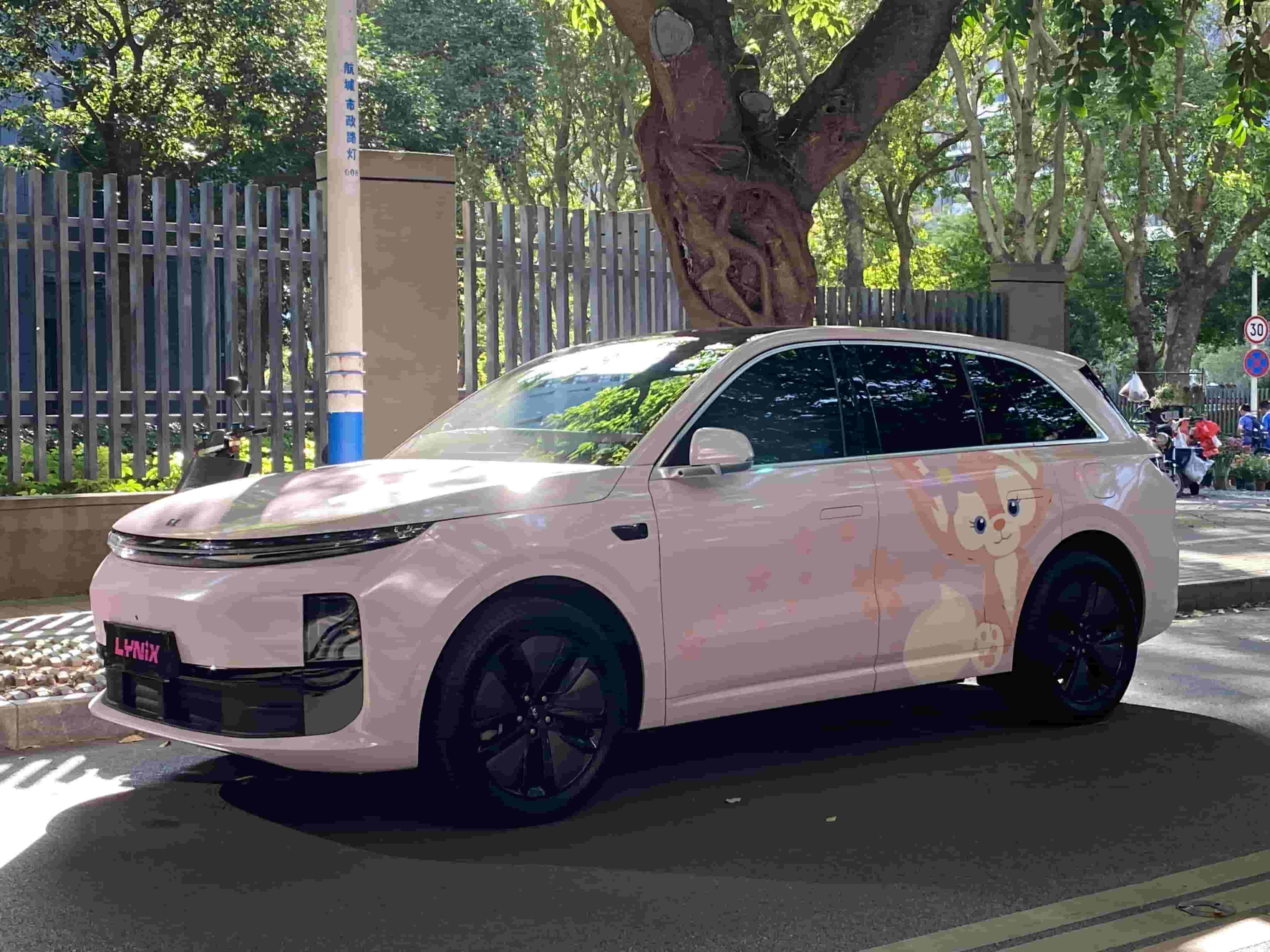 理想L6|玲娜贝儿|彩绘定制